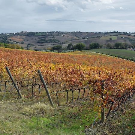 Agriturismo Al Rifugio Divino Belvedere Ostrense エクステリア 写真