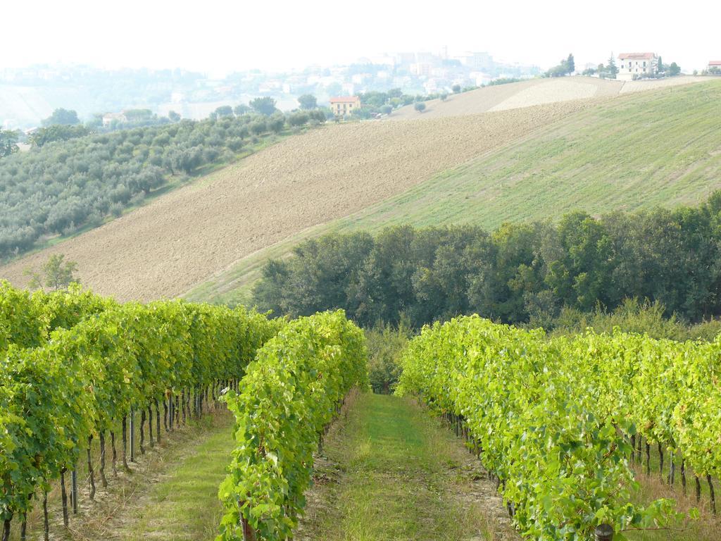 Agriturismo Al Rifugio Divino Belvedere Ostrense エクステリア 写真